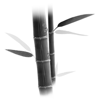 Ǯ - ֻ